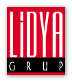 Lidya Grup